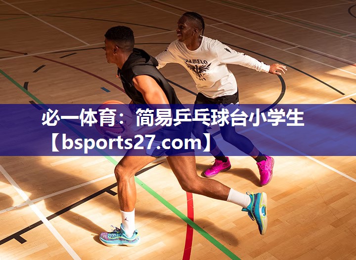 必一体育：简易乒乓球台小学生