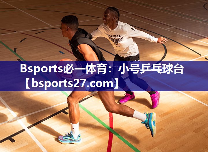 Bsports必一体育：小号乒乓球台