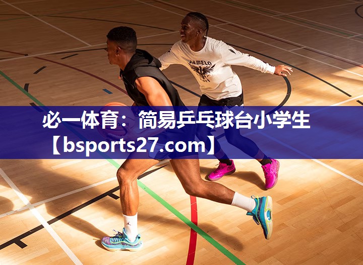 简易乒乓球台小学生