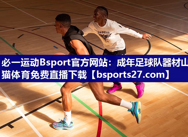 必一运动Bsport官方网站：成年足球队器材山猫体育免费直播下载