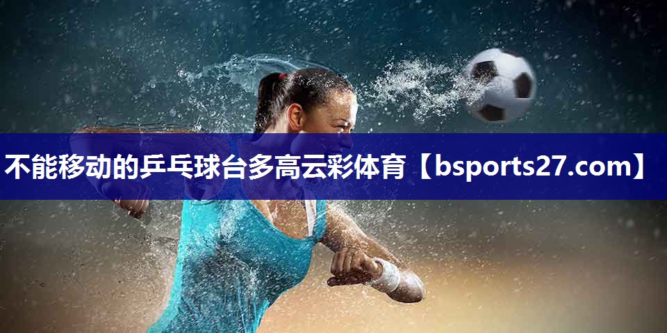 不能移动的乒乓球台多高云彩体育